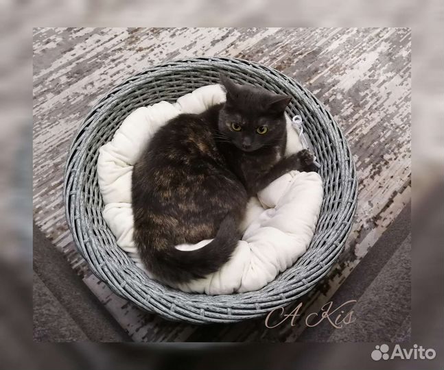 Лежанка для кошек и собак