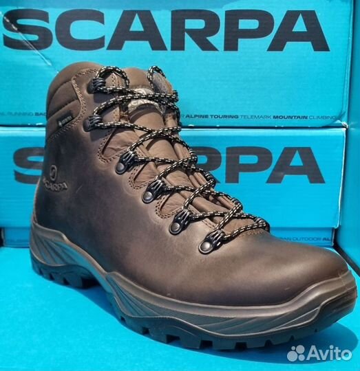 Треккинговые ботинки Scarpa Terra Gtx