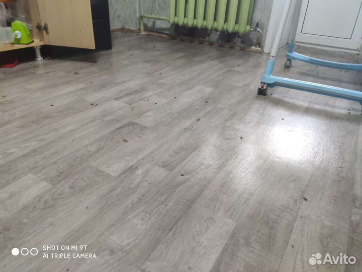 Уничтожение клопов и тараканов