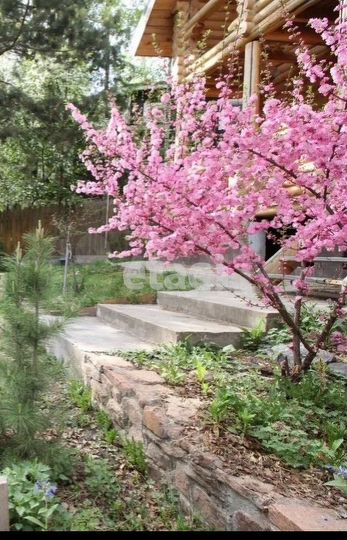 Дом 76,5 м² на участке 3,1 сот.