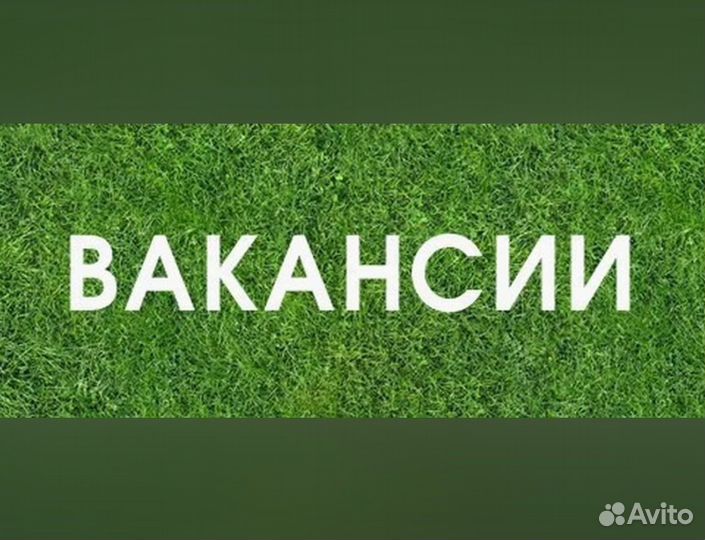 Стропальщик вахта Еженедельные выплаты проживание+