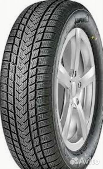 Gripmax SureGrip eWinter 205/55 R17