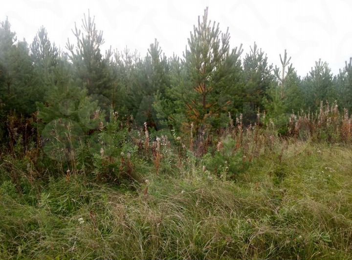 Участок 10 сот. (ИЖС)