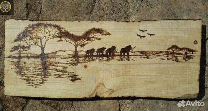 Пирокартина CK119