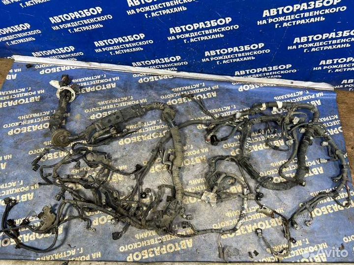 Проводка подкапотная Toyota Blade хэтчбек 2GR-FE