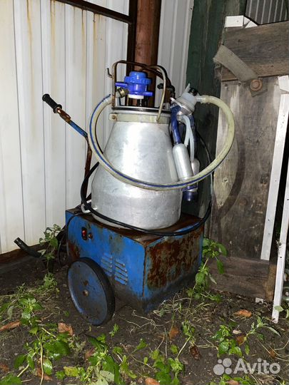 Доильный аппарат бу