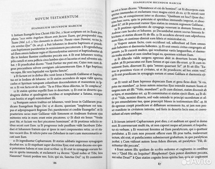 Латинская христианская литература. Хрестоматия