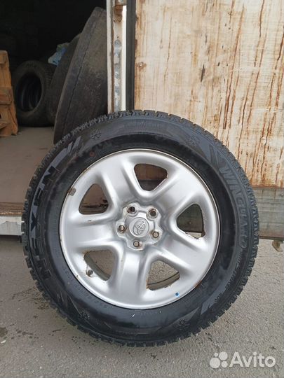 Nexen Winguard 225/65 R17