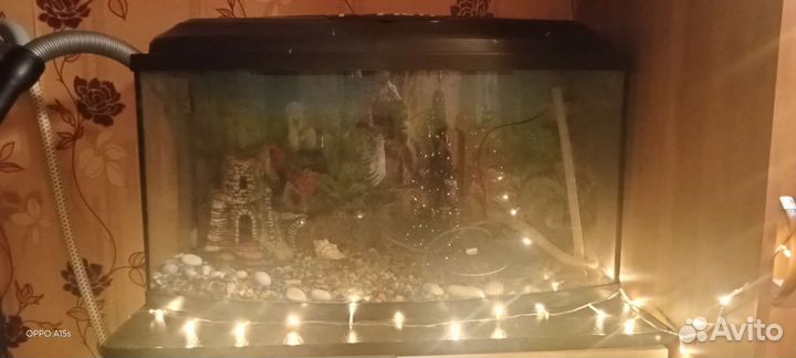 Аквариум
