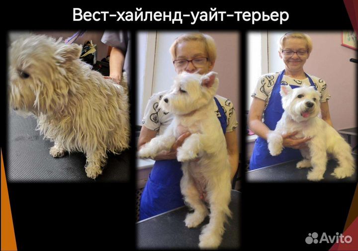 Грумер-универсал