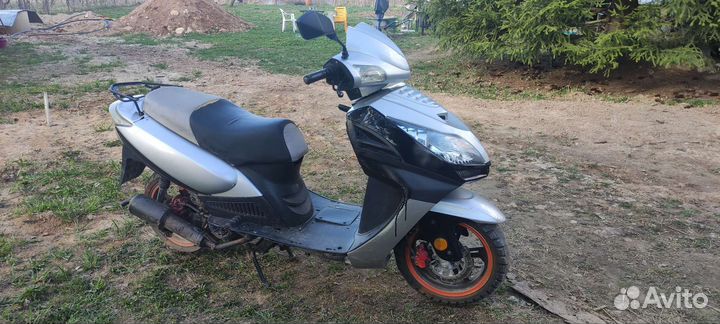 Ирбис нирвана