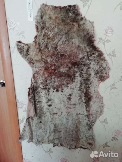 Шкурка животного