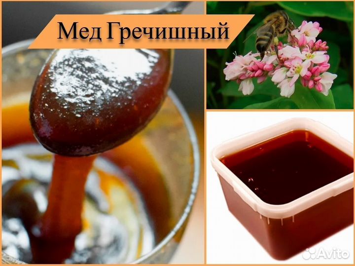 Мед натуральный (гречишный, разнотравье). Алтай