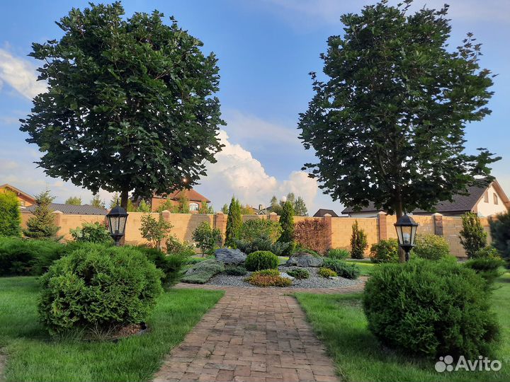 Ландшафтный дизайн проект участка