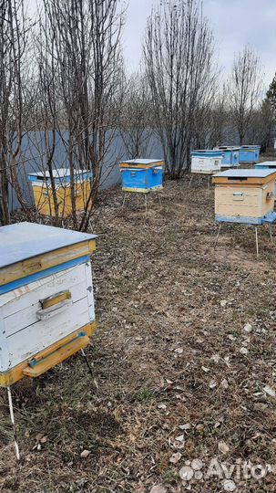 Ульи для пчел новые и б/у