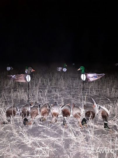 Чучела утки кряквы для охоты (флюгера)