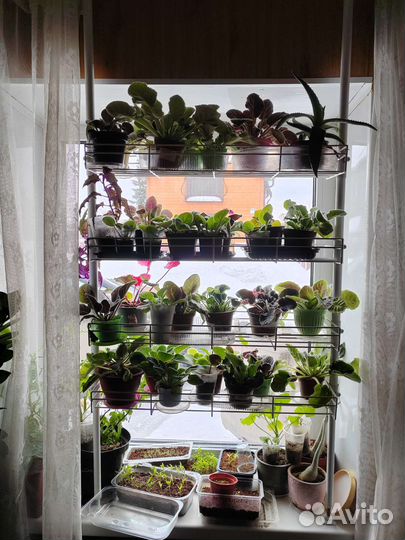 Стеллаж для рассады на подоконник