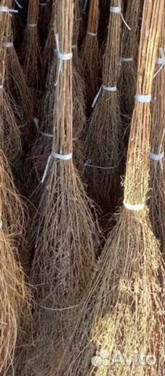 Метла для двора