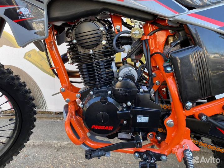 Новый Progassi Palma 250