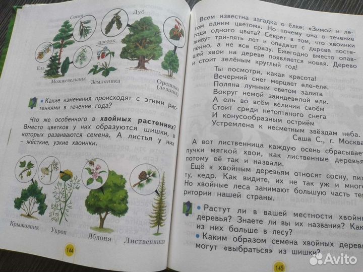 Окружающий мир 2 класс Дмитриева Казаков