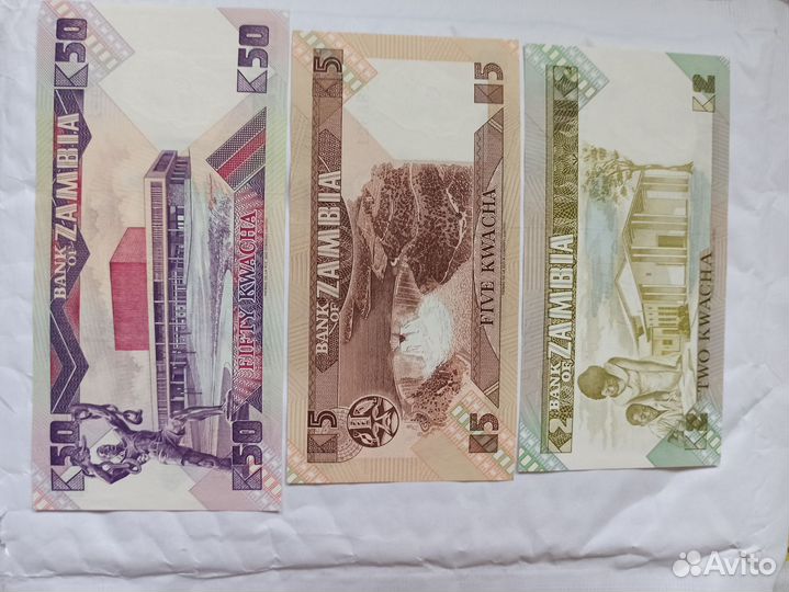 Банкноты Африка