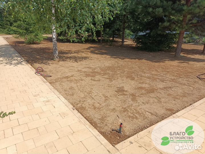 Газон под ключ