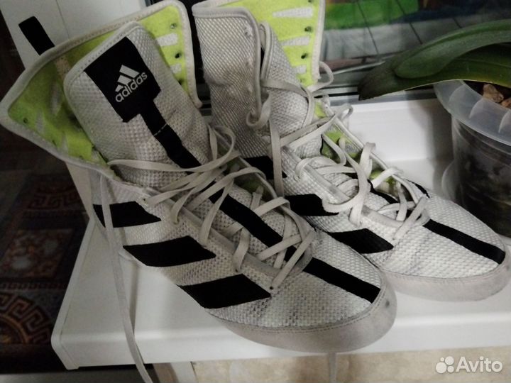 Боксерки adidas