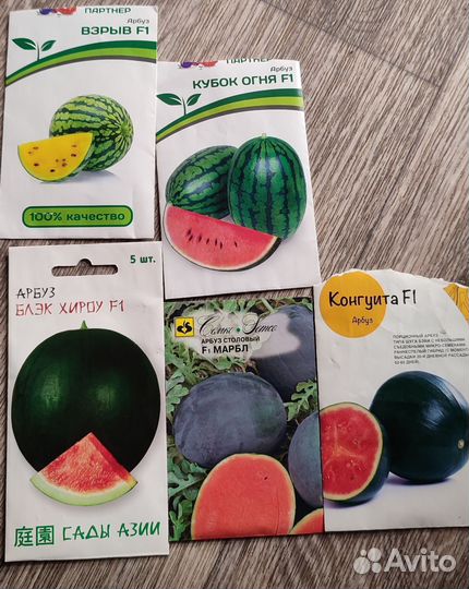 Рассада арбуза