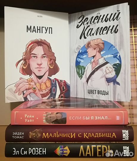 Книга в рамках дозволенного рейн уайт