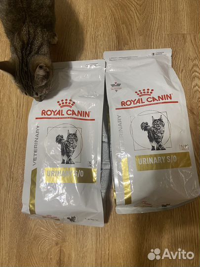 Корм для кошек royal canin urinary 1,5 кг