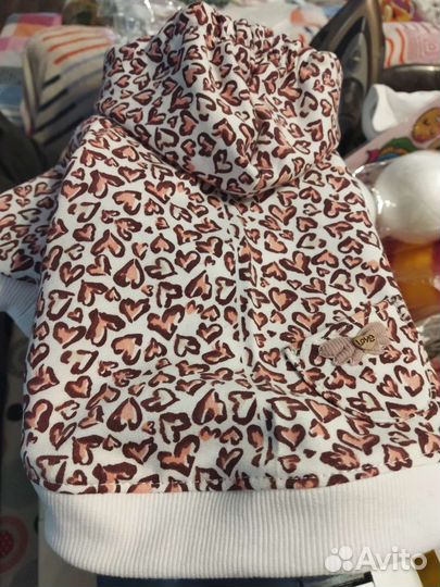 Одежда для животных