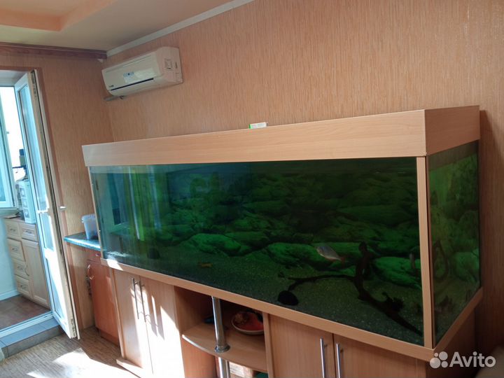 Аквариум с тумбой и крышкой бу 924 литра