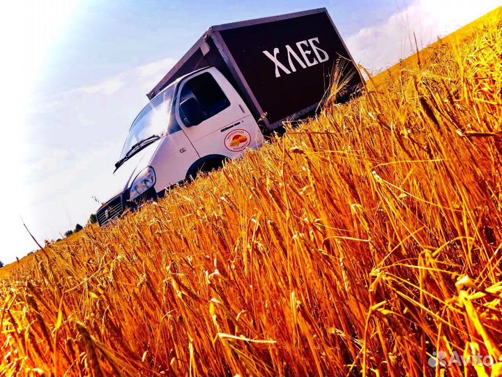 Водитель-экспедитор (разгрузка/погрузка) на Газель