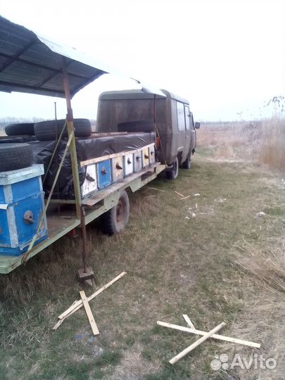 Продается пасека