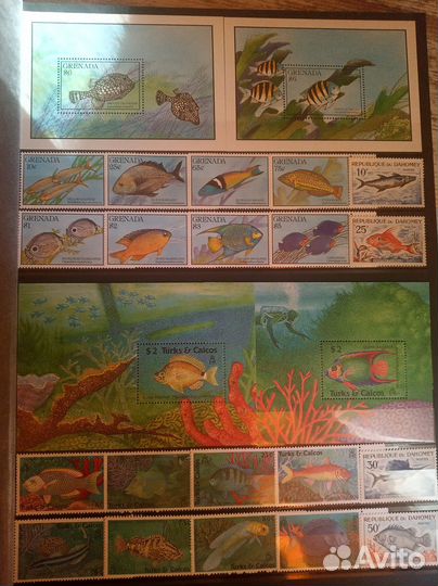 Альбом с марками (Рыбы)