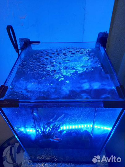 Аквариум с рыбками и аксессуарами