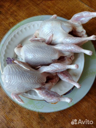 Мясо перепелов