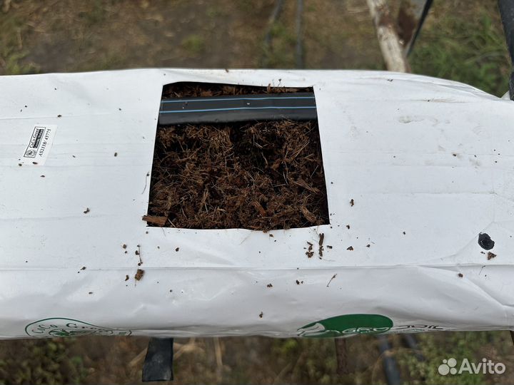 Какосовый субстрат