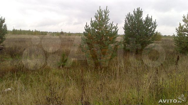 Участок 40 сот. (СНТ, ДНП)