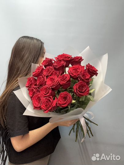 Розы эквадор Экспловер