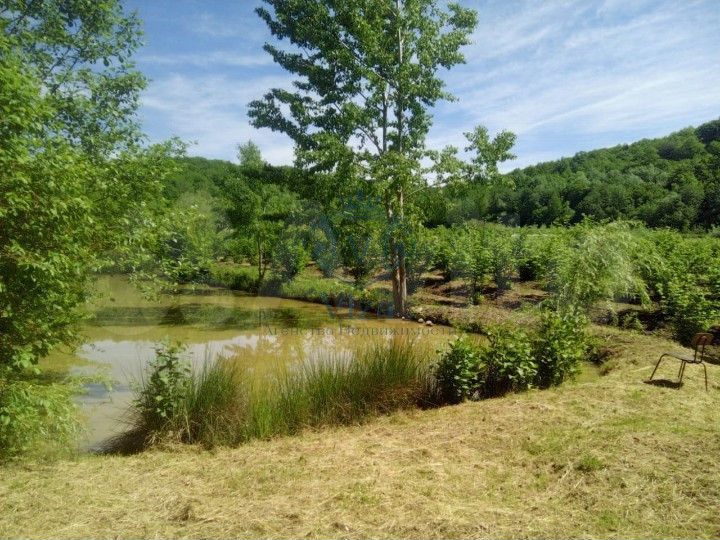 Участок 2 га (личное подсобное хозяйство (лпх))