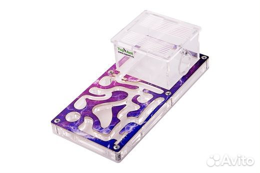 Муравьинная ферма малая