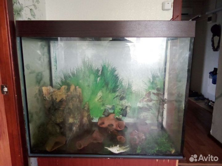 Аквариум на 400 литров