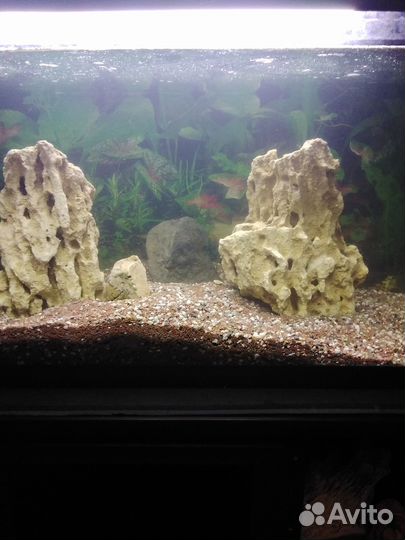 Аквариум 100 л с тумбой,полный комплект
