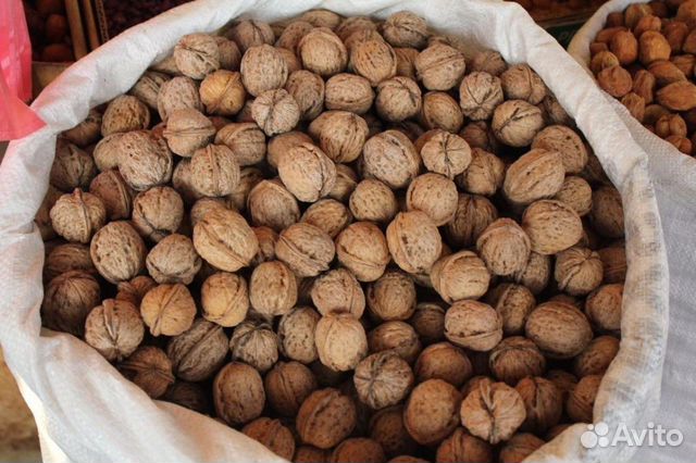 Орехи в скорлупе купить москва. Грецкий орех в скорлупе в сетке. Какие орехи крепят. Какие орехи в Республике Адыгея. Орехи как на юге продают в сетке.