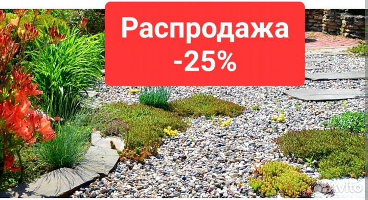 Чернозем Щебень