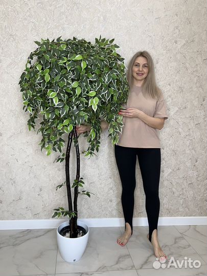 Искусственный Фикус Бенжамина