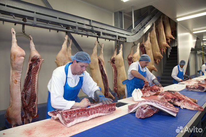 Вахта для семейной пары выезд из Воронежа