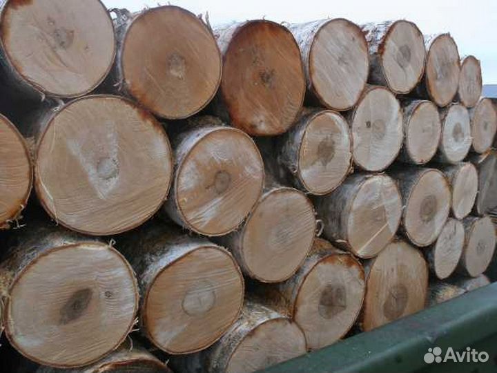 Фанерный кряж