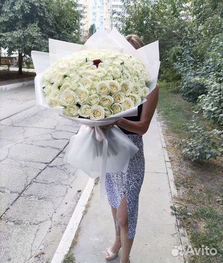 101 роза белая